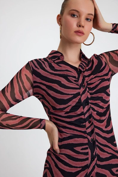 Kadın Zebra Desenli Elbise  Fuşya - 2