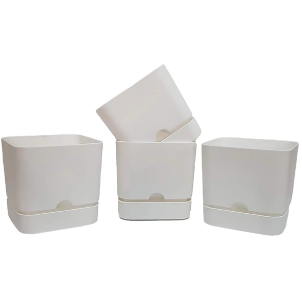 Poliwork 4 lü Begonya Kare 13 cm Plastik Renkli Tabaklı Saksı - 3