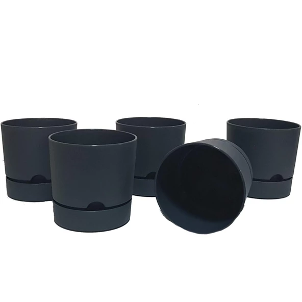 Poliwork 5 li Begonya 12 cm Plastik Renkli Tabaklı Saksı - 3