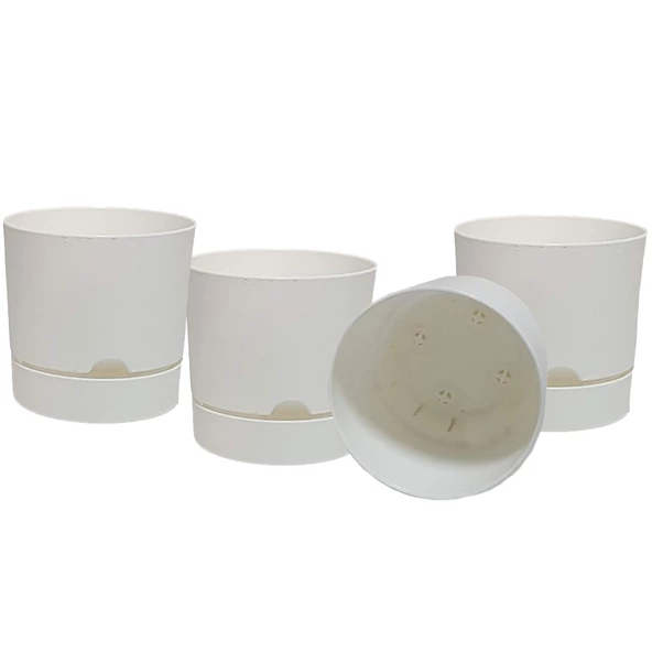 Poliwork 4 lü Begonya 15 cm Renkli Plastik Tabaklı Saksı - 4