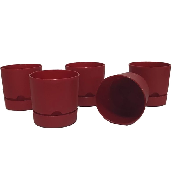 Poliwork 5 li Begonya 9 cm Plastik Renkli Tabaklı Saksı - 2