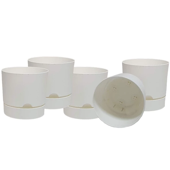 Poliwork 5 li Begonya 12 cm Plastik Renkli Tabaklı Saksı - 4