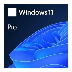 Microsoft Ms Windows 11 Pro FQC-10556 64BIT Tr (Oem)