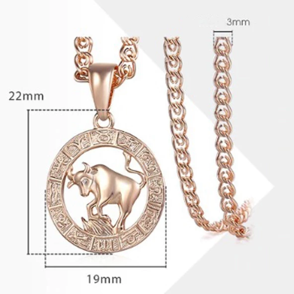 Pigado Astroloji Burçlar Kolye Rose Renk Özel Kutusunda - 11