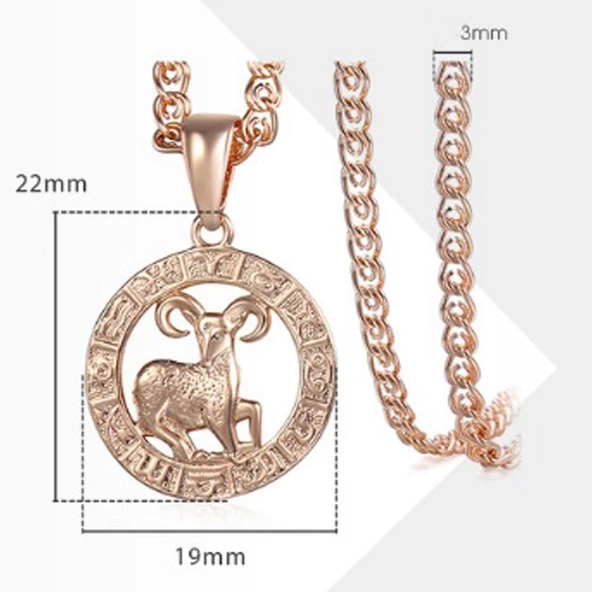 Pigado Astroloji Burçlar Kolye Rose Renk Özel Kutusunda - 7