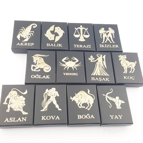 Pigado Astroloji Burçlar Kolye Rose Renk Özel Kutusunda - 12