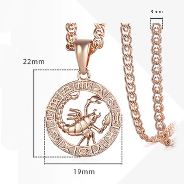 Pigado Astroloji Burçlar Kolye Rose Renk Özel Kutusunda - 4