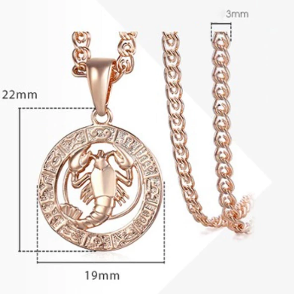 Pigado Astroloji Burçlar Kolye Rose Renk Özel Kutusunda - 3