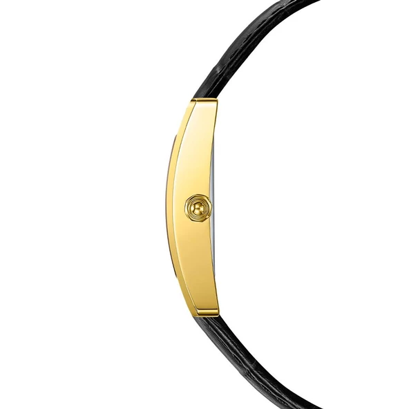 Jacques Philippe JPQLS652173 Kadın Kol Saati - Resim 2