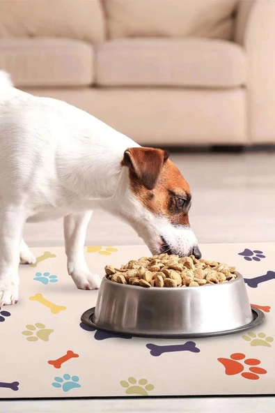 MAtGo Pati Renkli Kemikler Evcil Hayvan Beslenme Matı Kaymaz Sıvı Geçirmez Kedi Köpek Mama Paspası 50x70cm - 4