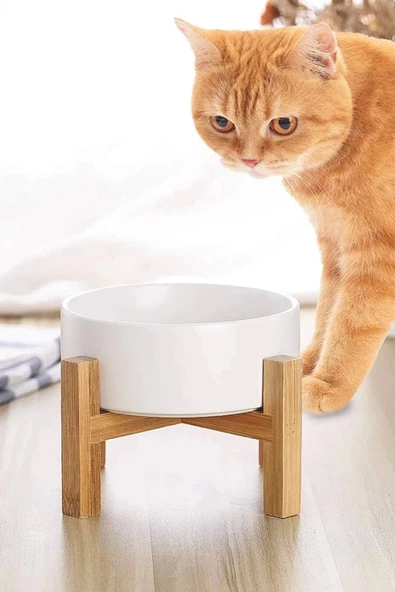 MAtGo Pati Çam Ağacı Kedi Köpek Beslenme Mama ve Su Kabı Seramik Kaseli 500Ml Hacim Kaymaz Devrilmez 2 Ad. - Resim 4