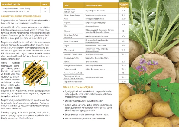 Gübretaş MagSül Toz Gübre 1 Kg Magnezyum Sülfat - Resim 2