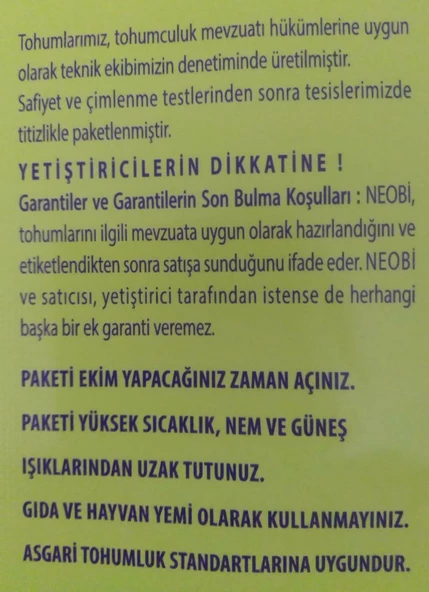 Roka İzmir Sebze Tohumu 20 gr - 2