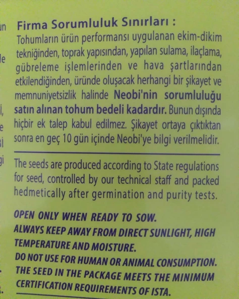 Roka İzmir Sebze Tohumu 20 gr - 3