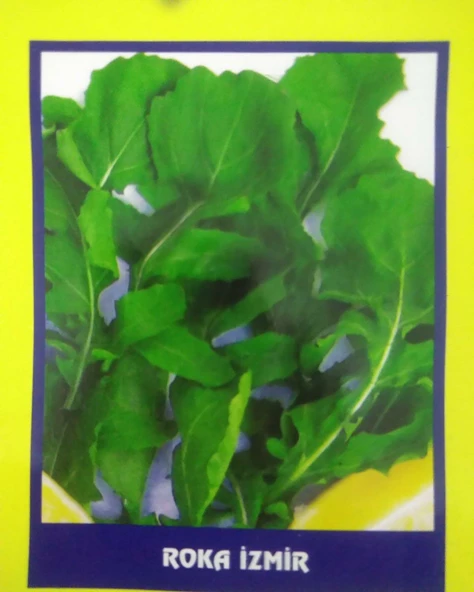 Roka İzmir Sebze Tohumu 20 gr