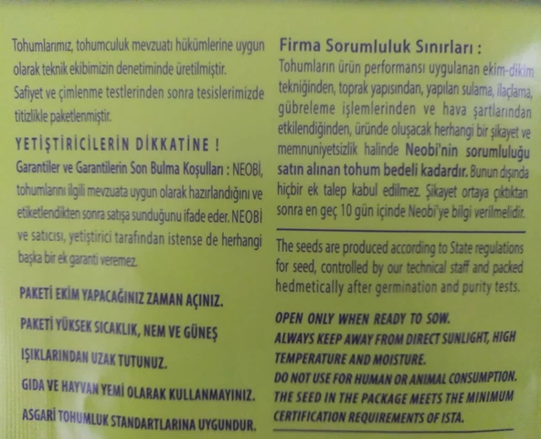 Patlıcan Kemer Sebze Tohumu 20 gr - 4