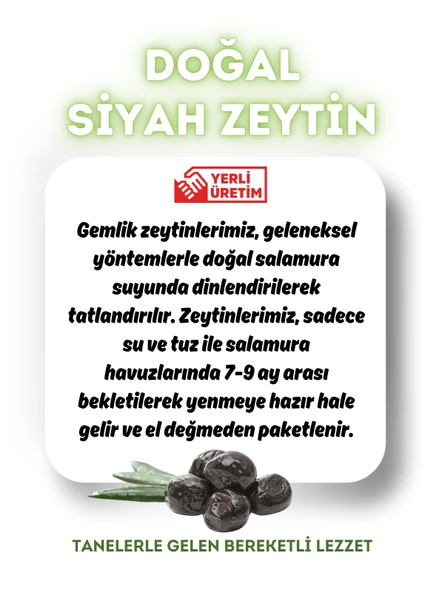 Mytat Doğal Gemlik Özel Siyah Zeytin 900 gr (261-290) M - 3