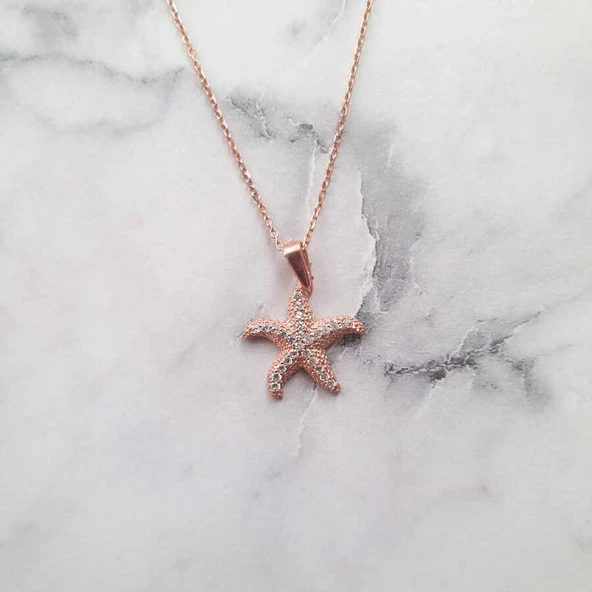 925 Ayar Gümüş Deniz Yıldızı Kolye ürün görseli