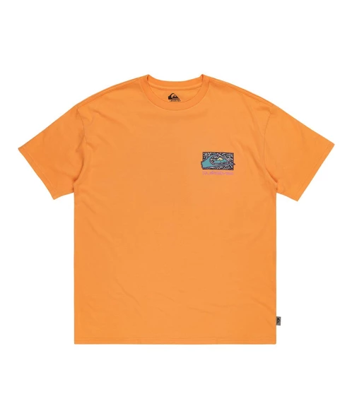 Quıksılver SPIN CYCLE SS Erkek T-shirt EQYZT07653-QK.25178 - Resim 3