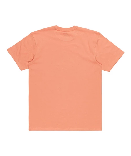 Quıksılver TROPICAL RAINBOW SS Erkek T-shirt EQYZT07679-QK.MJR0 ürün görseli 1