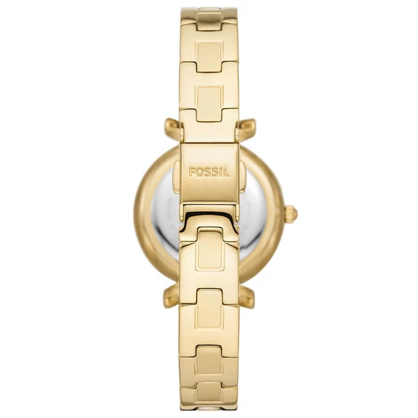 Fossıl FES5203 Kadın Kol Saati - Resim 3
