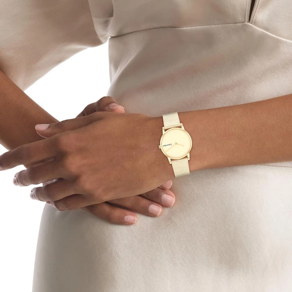 Calvin Klein CK25100035 Kadın Kol Saati - Resim 4