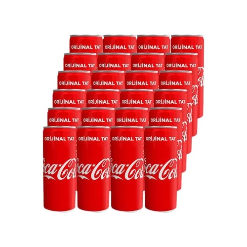 Coca Cola 250 ml 24'lü - 2