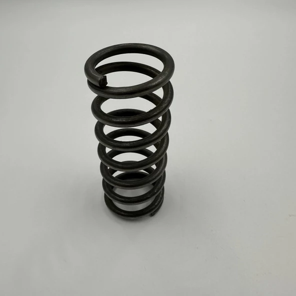 Transpalet Pompa Yayı B Tipi - 2