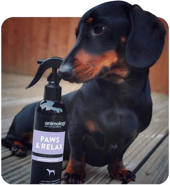 Animology Paws Relax Aromatherapy Spray Rahatlatıcı Köpek Tüy Bakım Spreyi 250 ML. - 8
