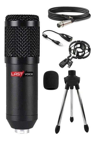 Lastvoice BM800 Condenser Stüdyo Mikrofon (Mini Tripod + 7.1 Ses Kartı) - 2