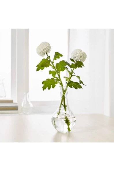 IKEA Dekoratif Cam Vazo 17 Cm