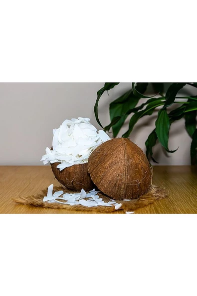 Şeker Ilavesiz Organik Hindistan Cevizi Cipsi 90 gr - 5