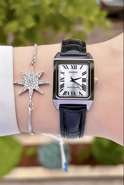 Casio CSISTE41 Kadranı Gümüş Kordonu Siyah Renk Hediye Paketli Kadın Kol Saati - Resim 3