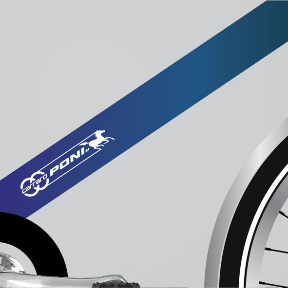 CARRARO PONI 24 JANT 450H 3-V VB YESIL MAVI MOR(B)-BEYAZ - 2