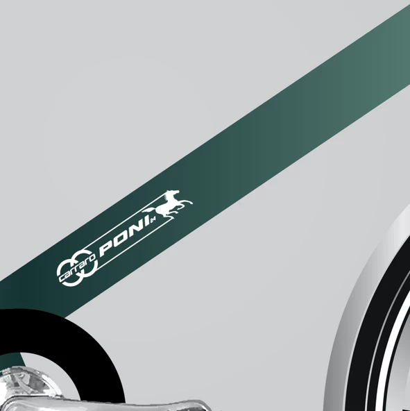 CARRARO PONI 24 JANT 450H 3-V VB YESIL MAVI MOR(B)-BEYAZ - 3