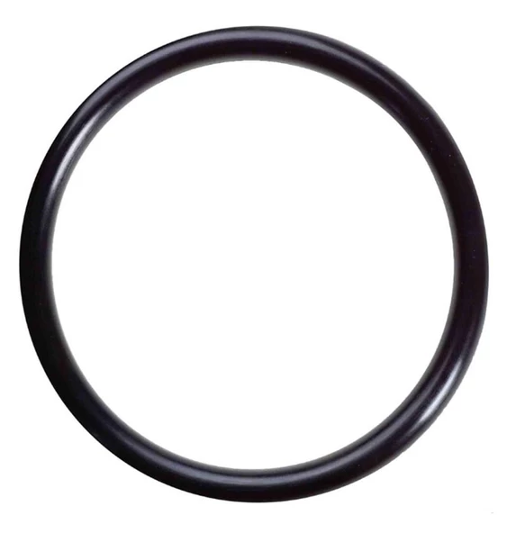 BAJAJ NS200 BUJİ YERİ O-RİNGİ 2x28 ORJİNAL - Resim 2