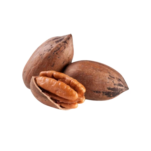 Pikan Cevizi Kabuklu - 2