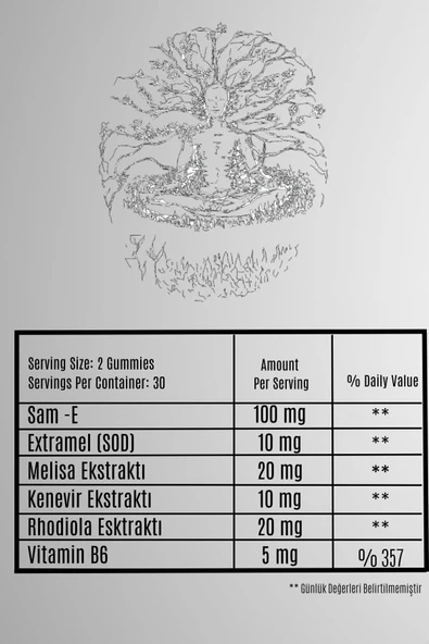 Vita Bear Relax Bear Stres, Kaygı, Endişe Ve Üzüntü Giderici - Resim 3