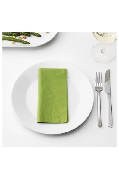 Fantastisk Açık Yeşil Peçete 40x40 cm 50 Adet - 2