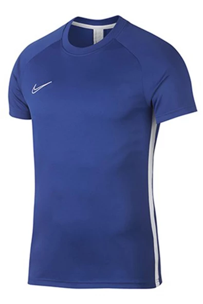 Nike AJ9996-480 Dri-FIT Academy Top SS Erkek Tişör