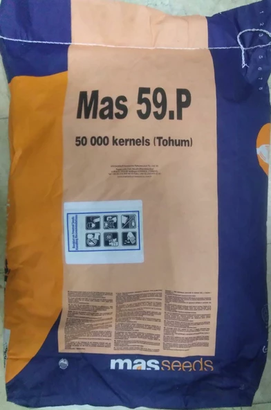 Mısır Tohumu Süt Mısır 1000 Gr Mas Yaklaşık 3000 Adet - 3