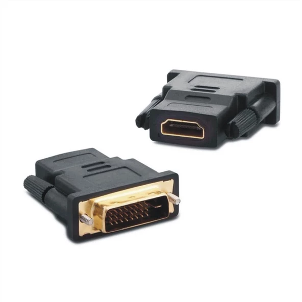 Satworld Hdmi Dişi DVI Erkek Çeviri