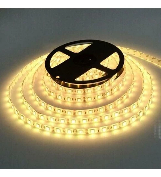 ŞERİT LED 12 V İÇ MEKAN 4000K 3 ÇİPLİ 5MT BOLLED+CATA