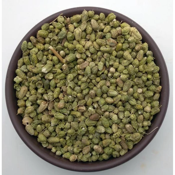 Bilya Top Kekik 1Kg - Resim 2