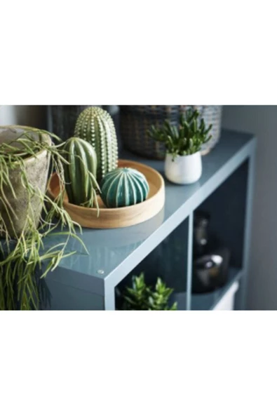 IKEA Sjalslıgt Dekoratif Aksesuar Set 3'lü Kaktüs - 3