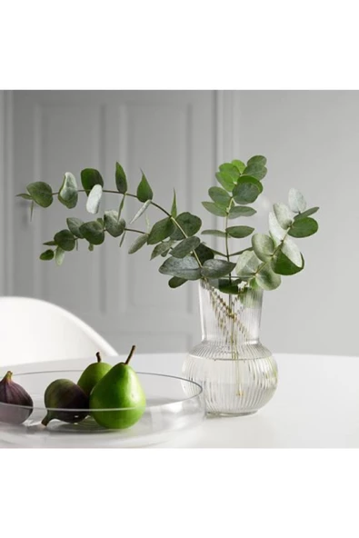 IKEA Padrag Dekoratif Vazo Karaf 17 cm Cam - 2