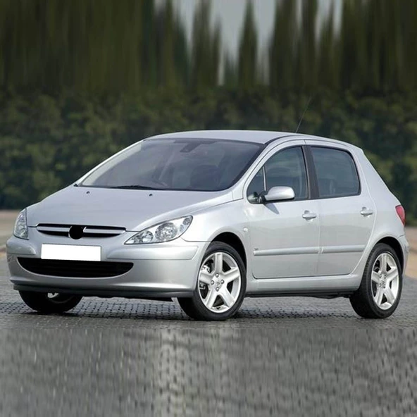 Peugeot 307 2001-2004 Sağ Ön Yolcu Güneşlik Gri 8143HL - 2