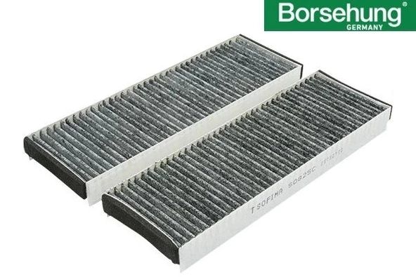 4F0898438B Polen Filtresi Karbonlu Çiftli Sofıma - Audı A6-A6Q-R8-Rs6