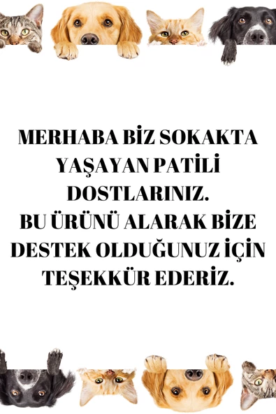 Evcil Hayvan Eğitim Topu 3 Lü Set - 2