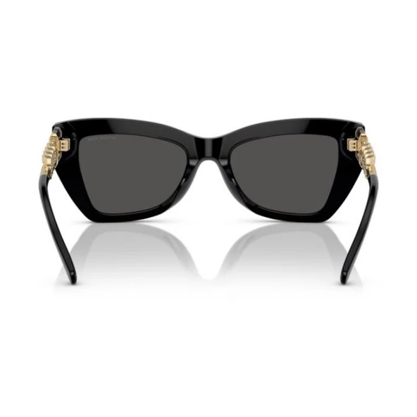 Michael Kors 0MK2205 30058752 HN Kadın Güneş Gözlüğü - 3